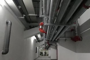 為科技創(chuàng)新點(diǎn)贊 公司成功舉辦機(jī)電安裝與BIM精品工程現(xiàn)場(chǎng)觀摩會(huì)，引領(lǐng)行業(yè)室內(nèi)外裝飾新高度